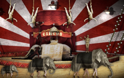 Semplicemente Circo